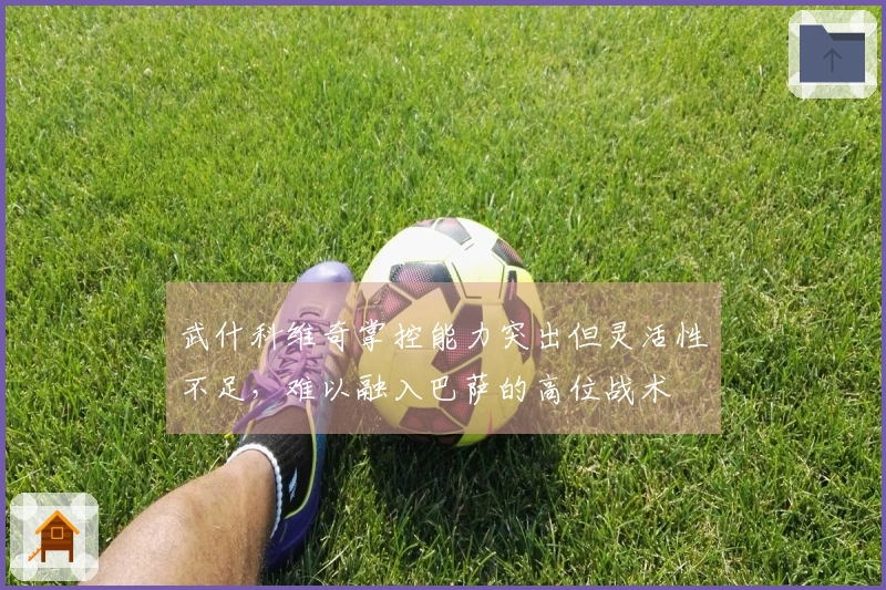 武什科维奇掌控能力突出但灵活性不足，难以融入巴萨的高位战术