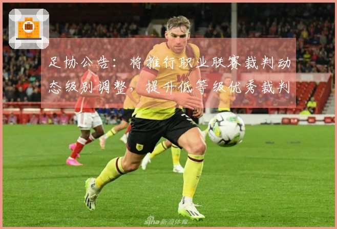 足协公告：将推行职业联赛裁判动态级别调整，提升低等级优秀裁判。