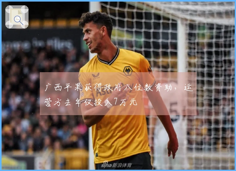 广西平果获得政府八位数资助，运营方去年仅投入7万元