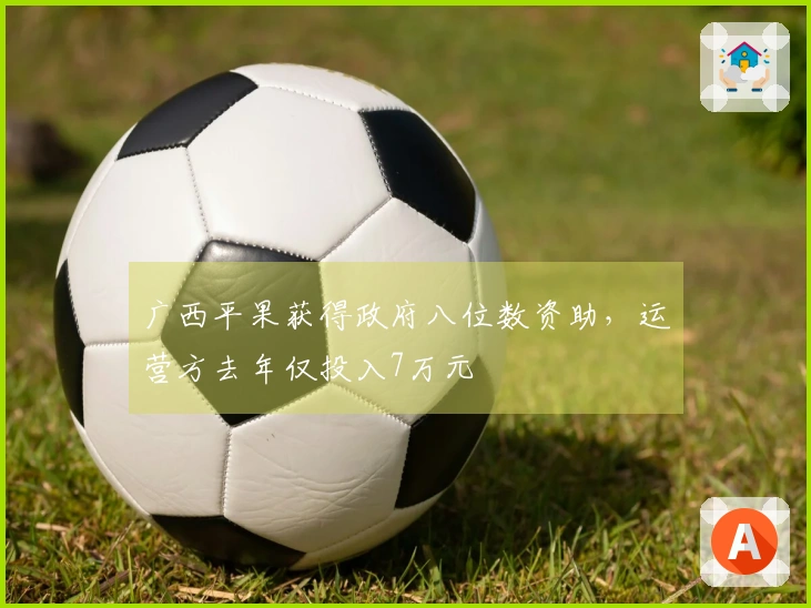 广西平果获得政府八位数资助，运营方去年仅投入7万元